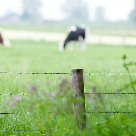 B & B De Lorijn Duiven Zewnętrze zdjęcie
